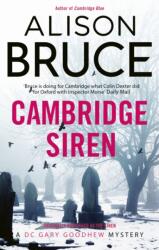 The Siren (ISBN: 9781849016070)