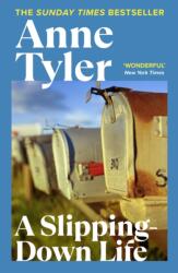 A Slipping Down Life (ISBN: 9780099517504)
