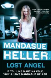 Lost Angel (ISBN: 9780340960110)