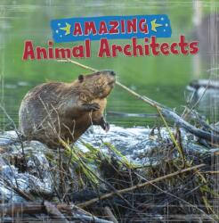 Amazing Animal Architects (ISBN: 9781474768221)