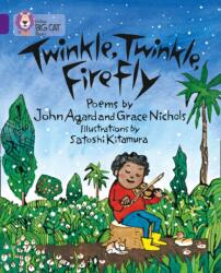 Twinkle, Twinkle, Firefly (ISBN: 9780007336142)