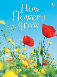 How Flowers Grow (ISBN: 9780746074503)