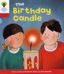 Oxford Reading Tree: Level 4: Decode and Develop: The Birthday Candle (ISBN: 9780198484103)