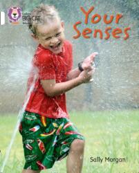 Your Senses (ISBN: 9780007462063)