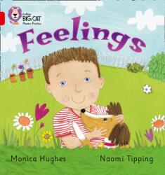 Feelings (ISBN: 9780007235926)