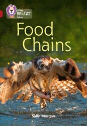 Food Chains (ISBN: 9780008163891)