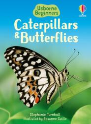 Omizi și fluturi (ISBN: 9780746074473)