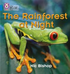 The Rainforest at Night (ISBN: 9780007236053)