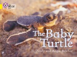 The Baby Turtle (ISBN: 9780007186594)