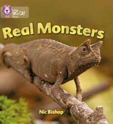 Real Monsters (ISBN: 9780007235988)