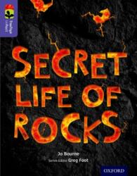 Oxford Reading Tree TreeTops inFact: Level 11: Secret Life of Rocks (ISBN: 9780198306511)