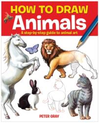 How to Draw Animals (ISBN: 9781782122869)