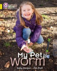 My Pet Worm (ISBN: 9780007512829)