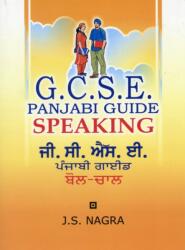 GCSE Panjabi Guide: Speaking (ISBN: 9781870383134)