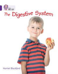 The Digestive System (ISBN: 9780007461981)