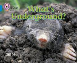 What's Underground (ISBN: 9780007185863)