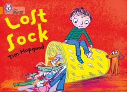 The Lost Sock (ISBN: 9780007461899)