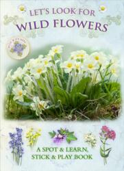 Let's Look for Wild Flowers (ISBN: 9781908489067)