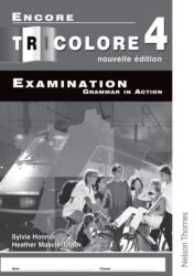 Encore Tricolore Nouvelle 4 Grammar in Action Workbook Pack (ISBN: 9780748795048)