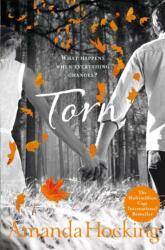 Torn (ISBN: 9781447210306)