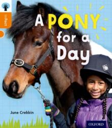 Oxford Reading Tree inFact: Level 6: A Pony for a Day (ISBN: 9780198307983)