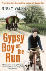 Gypsy Boy on the Run (ISBN: 9781444720228)