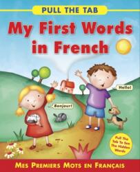 Pull the Tab: My First Words in French (ISBN: 9781843229162)