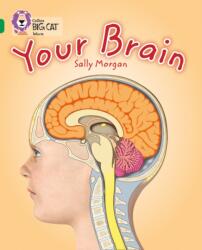 Your Brain (ISBN: 9780007465453)