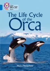 The Life Cycle of the Orca (ISBN: 9780008208905)