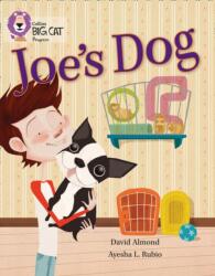 Joe's Dog (ISBN: 9780007498581)