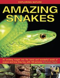 Exploring Nature: Amazing Snakes (ISBN: 9781843227366)