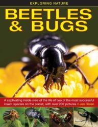Exploring Nature: Beetles & Bugs (ISBN: 9781861473660)