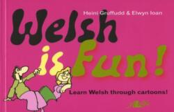Welsh is Fun! (ISBN: 9780950017846)