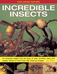 Exploring Nature: Incredible Insects (ISBN: 9781843229117)