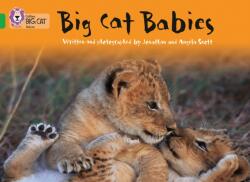 Big Cat Babies (ISBN: 9780007185948)