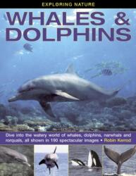 Exploring Nature: Whales & Dolphins (ISBN: 9781843229124)