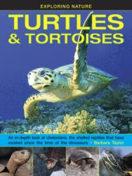 Exploring Nature: Turtles & Tortoises (ISBN: 9781861476432)