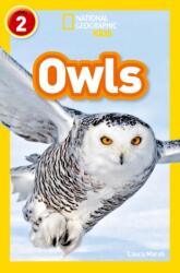 Owls (ISBN: 9780008266615)