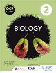 OCR A Level Biology Student Book 2 (ISBN: 9781471827082)