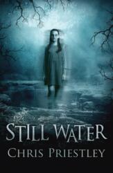 Still Water (ISBN: 9781781128336)
