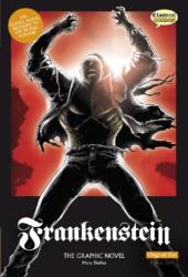 Frankenstein (ISBN: 9781906332150)