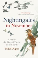 Nightingales in November (ISBN: 9781472962423)