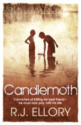 Candlemoth (ISBN: 9780752859149)