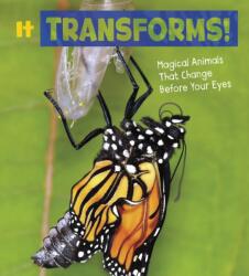 It Transforms! (ISBN: 9781474751629)