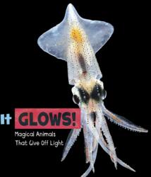 It Glows! (ISBN: 9781474751643)