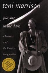 Playing in the Dark (ISBN: 9780674673779)