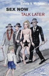 Sex Now, Talk Later (ISBN: 9781782205210)