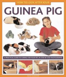 How to Look After Your Guinea Pig (ISBN: 9781843227687)