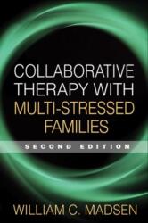 Collaborative Therapy with Multi-Stressed Families, Second Edition (ISBN: 9781593854348)