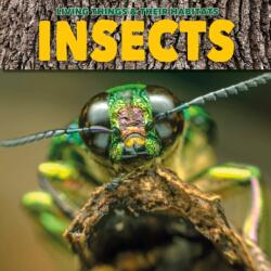Insects (ISBN: 9781912171811)